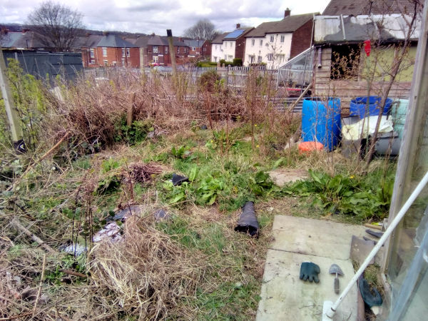 HOME and GARDEN, Newcastle - Allotment - Before Photo