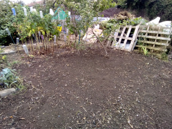 HOME and GARDEN, Newcastle - Allotment Clearing Photo